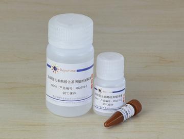 海肾萤光素酶报告基因检测试剂盒